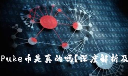 TP钱包的Puke币是真的吗？深度解析及用户指南