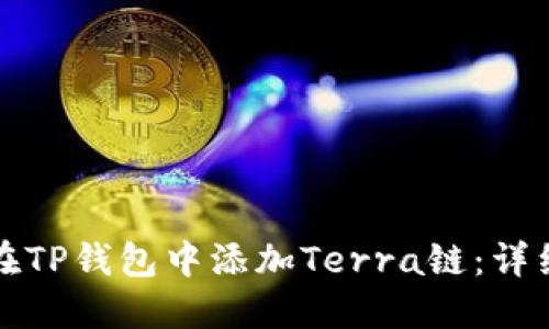 如何在TP钱包中添加Terra链：详细指南