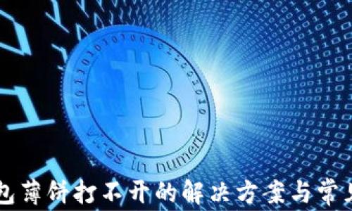 
新版TP钱包薄饼打不开的解决方案与常见问题解析