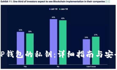 如何查看TP钱包的私钥：详细指南与安全注意事项