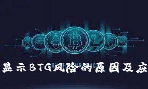 TP钱包显示BTG风险的原因及应对策略