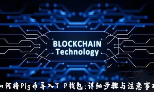 
如何将Pig币导入T P钱包：详细步骤与注意事项