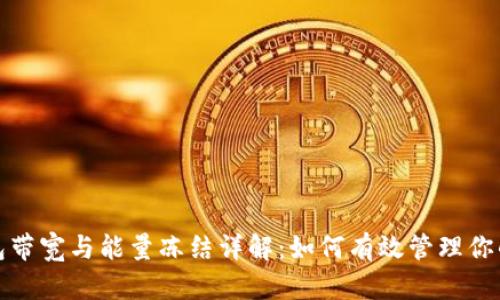 TP钱包带宽与能量冻结详解：如何有效管理你的资源