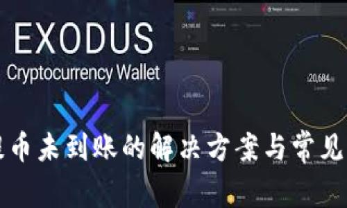 TP钱包提币未到账的解决方案与常见问题解析