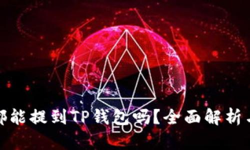 是什么币都能提到TP钱包吗？全面解析与安全措施