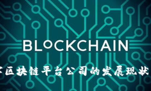 俄罗斯数字区块链平台公司的发展现状与未来展望