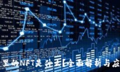   TP钱包里的NFT是什么？全