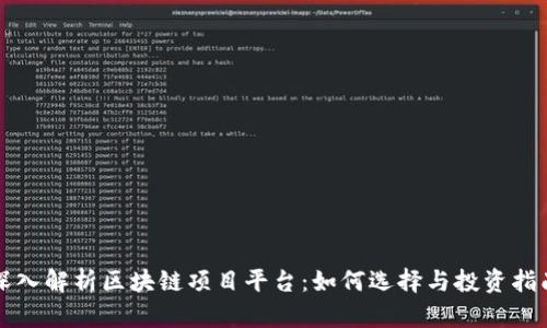 深入解析区块链项目平台：如何选择与投资指南